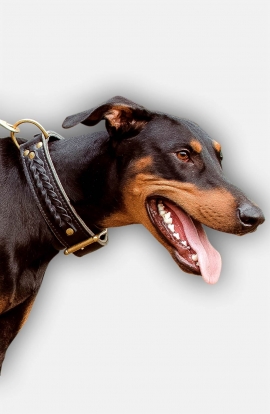 protective spike dog collar for doberman pinscher