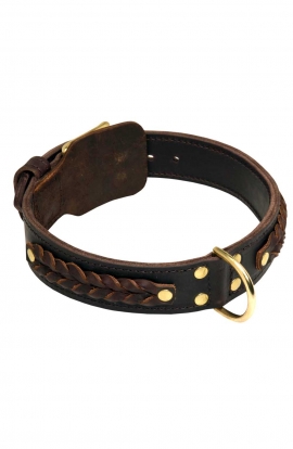 Get Deluxe Leather Cane Corso Collar with Vintage Medallions