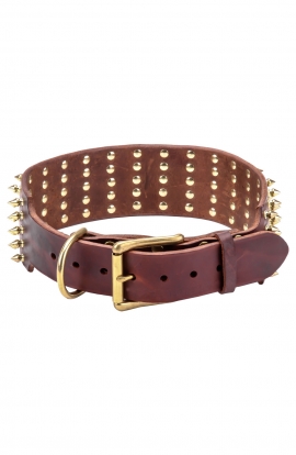 3 inch Extra Wide Leather Doberman Collar with Brass Spikes
