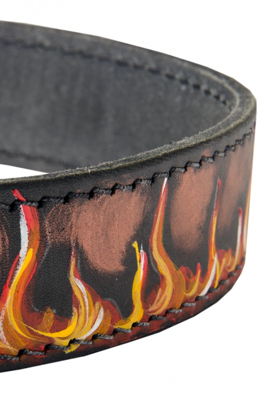 Fireball Nylon Dog Collar - Collar Up in Fire