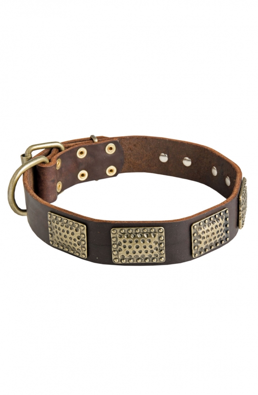 Private Collection: Vintage Leather and Metal Snake Belt 26in-30in