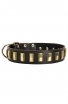 Designer Leather Dog Collar with Small Brass Plates