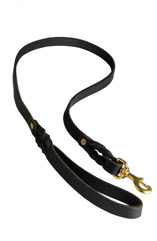 Pawmark Leather Braided Quick-Snap Collars with Conchos, Leather Braided or  Flat Collars