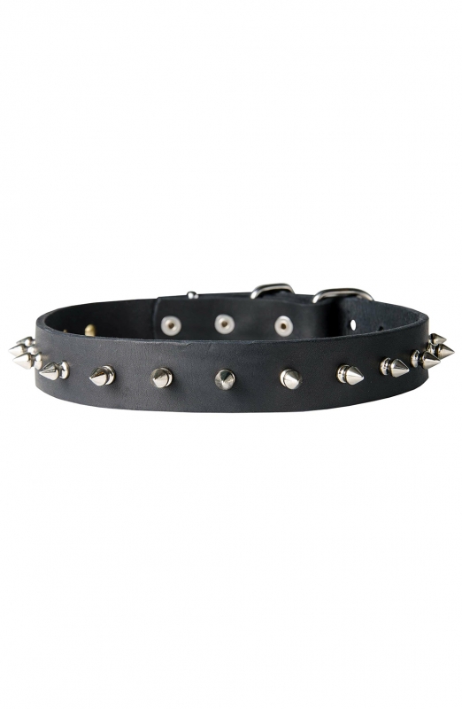Awesome Spiked Leather Collar with 1 Row Nickel-Plated Spikes - Old ...