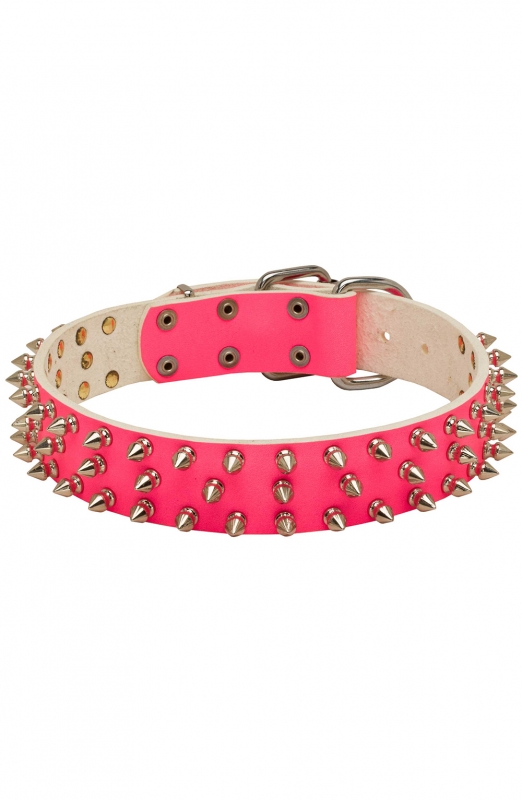 girl dog collars