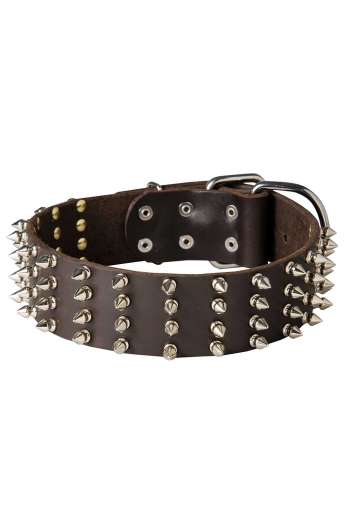 Wide Leather Spiked Dog Collar for Medium and Large Dog Breeds - Old ...