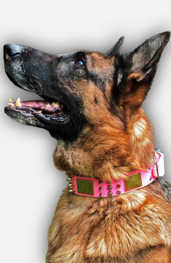 Pink Spiked and Studded Leather Dog Collar with Plates ...