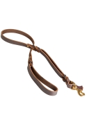 Braided Leather Dog Leash with Double Handle