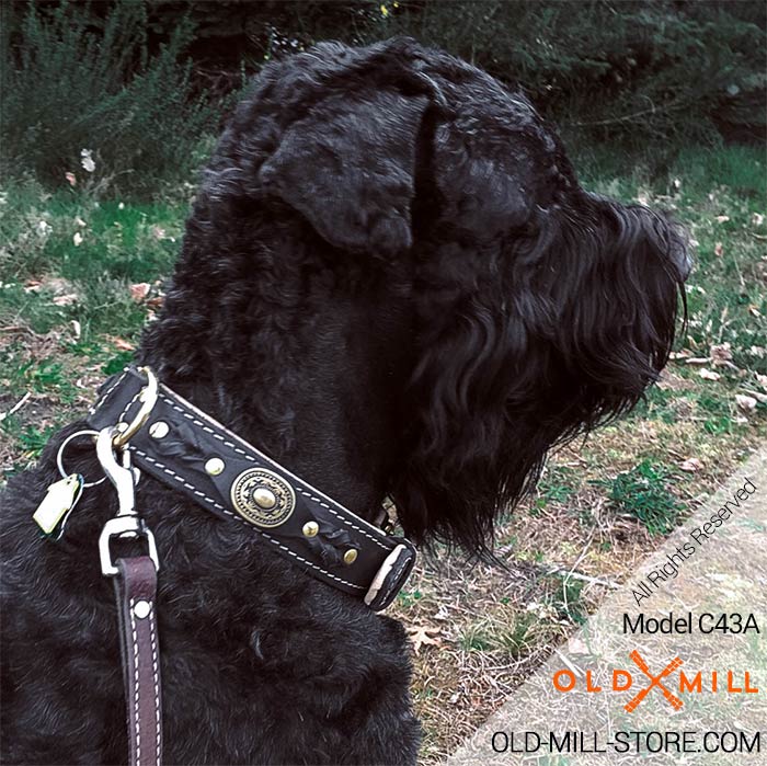 Black Russian Terrier Collar with Braids